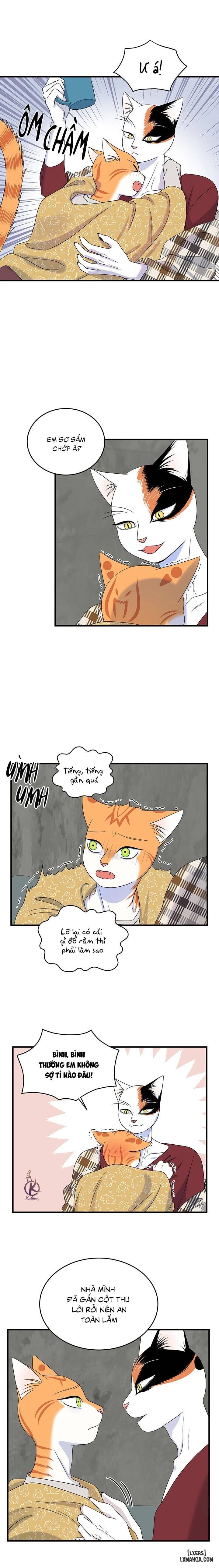 HentaiVN.net - Ảnh 3 - Dự án xanh - Chap 47