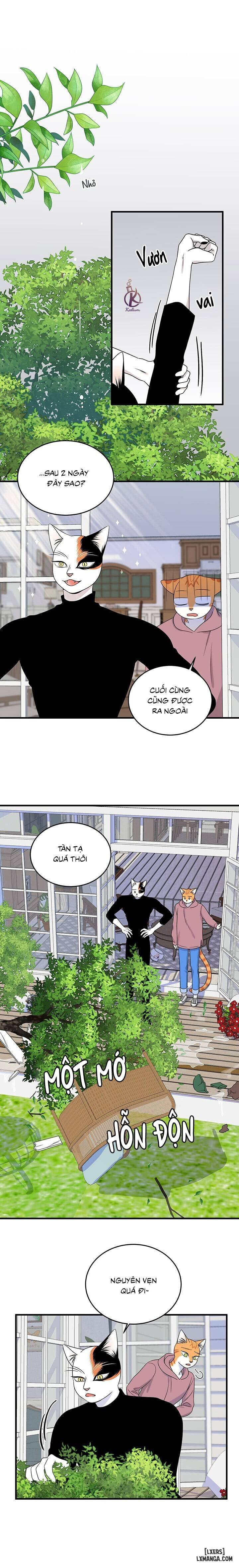 HentaiVN.net - Ảnh 6 - Dự án xanh - Chap 47