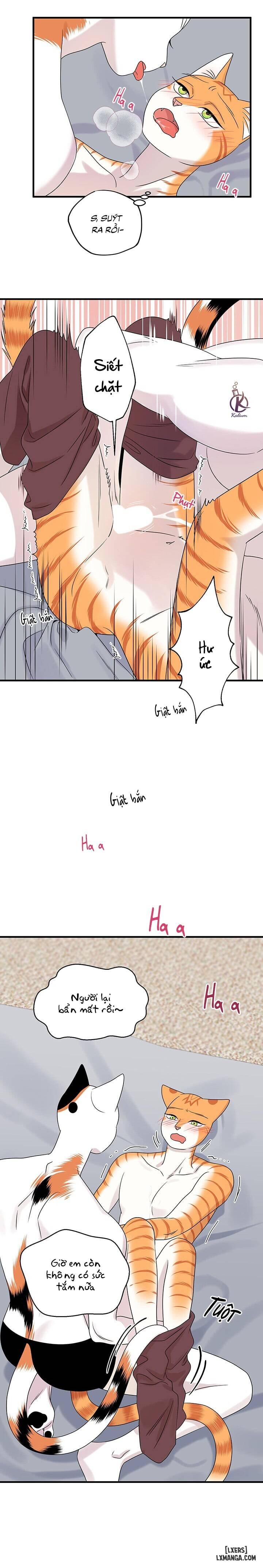 HentaiVN.net - Ảnh 10 - Dự án xanh - Chap 48