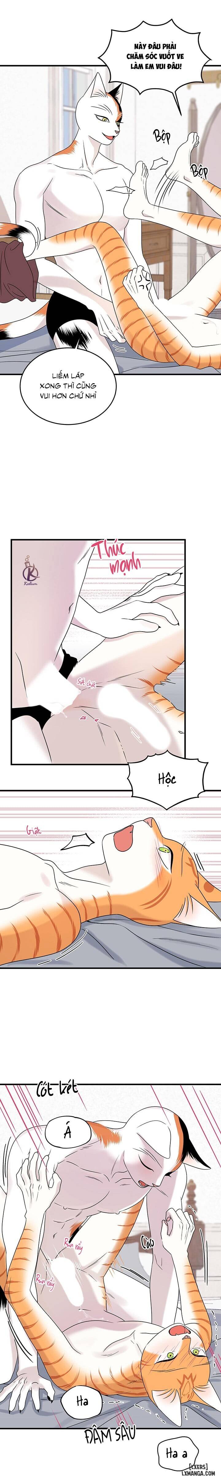 HentaiVN.net - Ảnh 11 - Dự án xanh - Chap 48