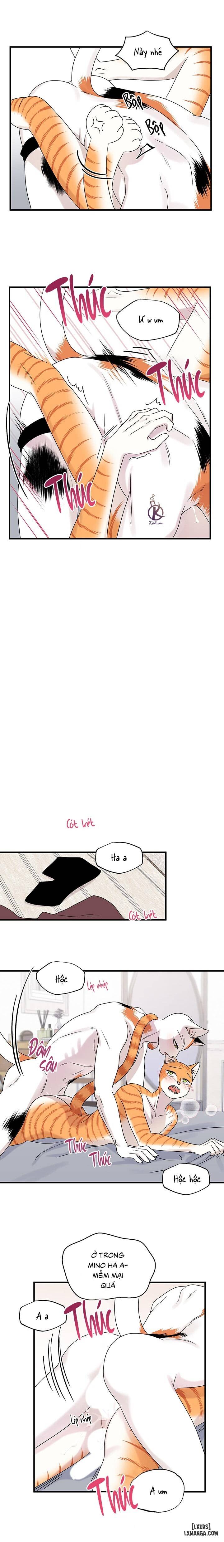 HentaiVN.net - Ảnh 13 - Dự án xanh - Chap 48