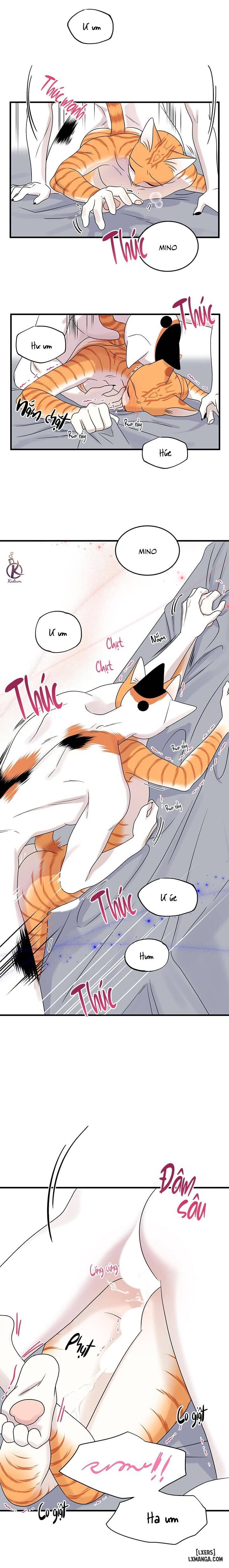 HentaiVN.net - Ảnh 14 - Dự án xanh - Chap 48