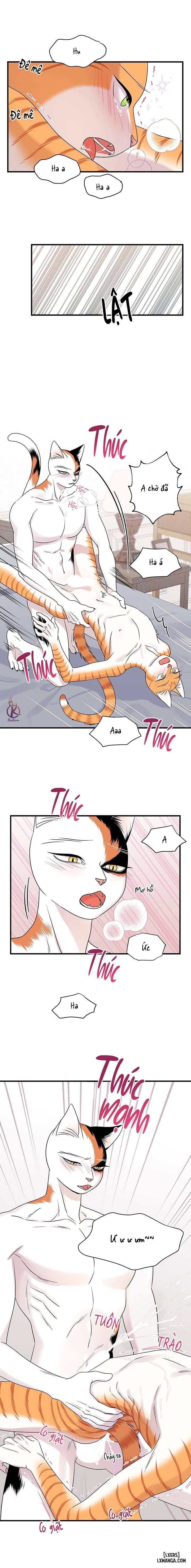 HentaiVN.net - Ảnh 15 - Dự án xanh - Chap 48