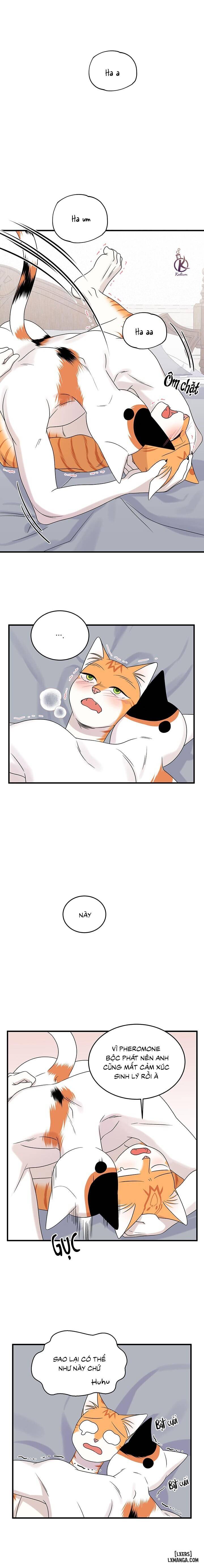 HentaiVN.net - Ảnh 16 - Dự án xanh - Chap 48