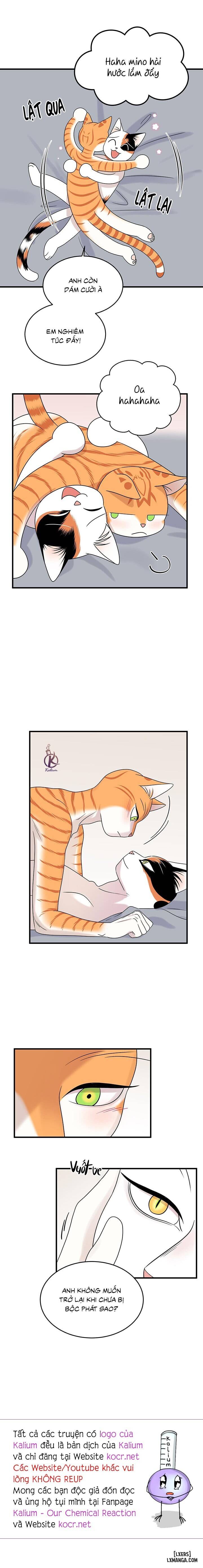 HentaiVN.net - Ảnh 17 - Dự án xanh - Chap 48