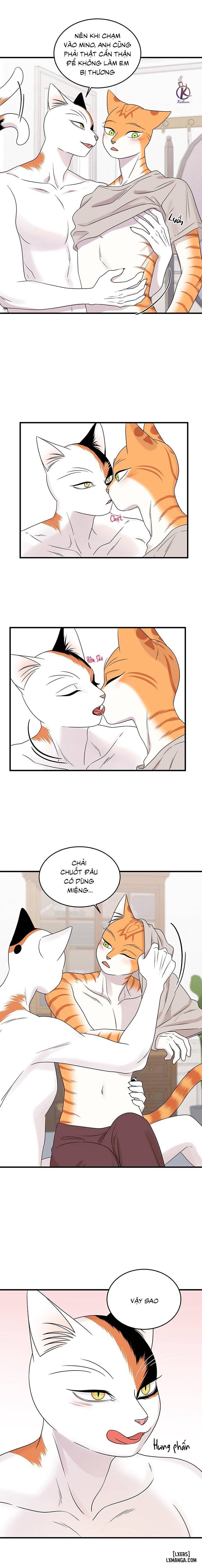HentaiVN.net - Ảnh 3 - Dự án xanh - Chap 48