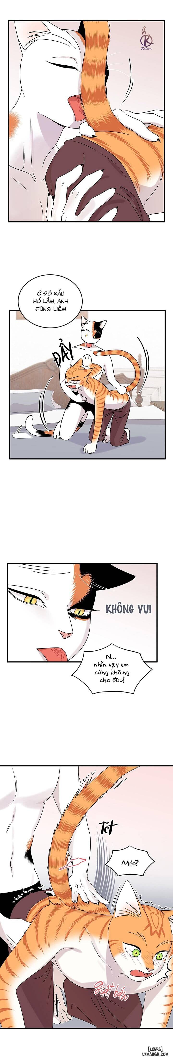 HentaiVN.net - Ảnh 5 - Dự án xanh - Chap 48
