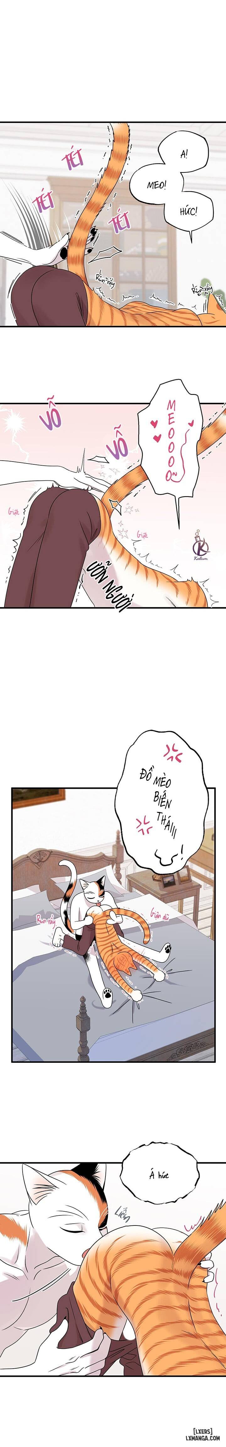 HentaiVN.net - Ảnh 6 - Dự án xanh - Chap 48