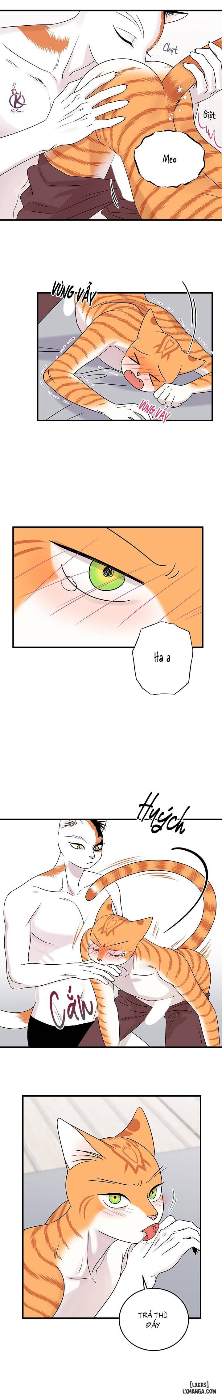 HentaiVN.net - Ảnh 7 - Dự án xanh - Chap 48