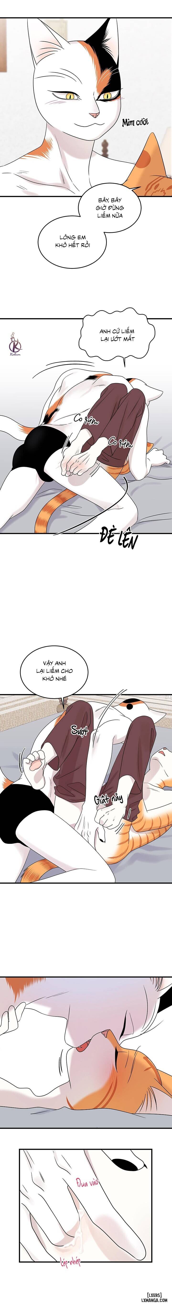 HentaiVN.net - Ảnh 8 - Dự án xanh - Chap 48