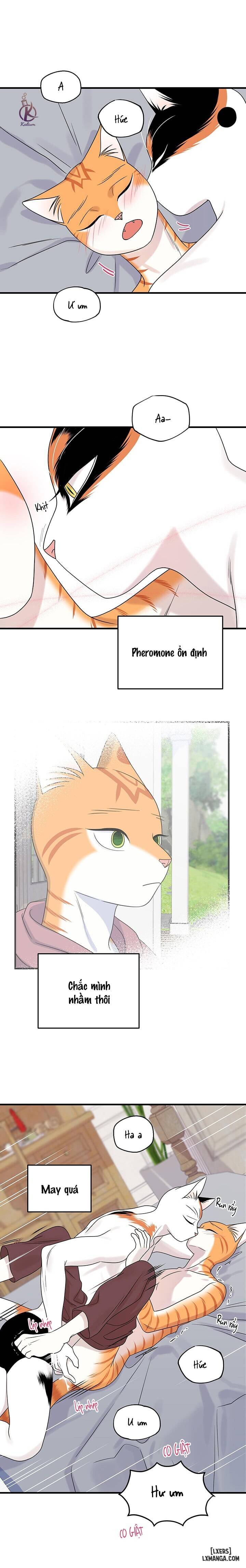 HentaiVN.net - Ảnh 9 - Dự án xanh - Chap 48