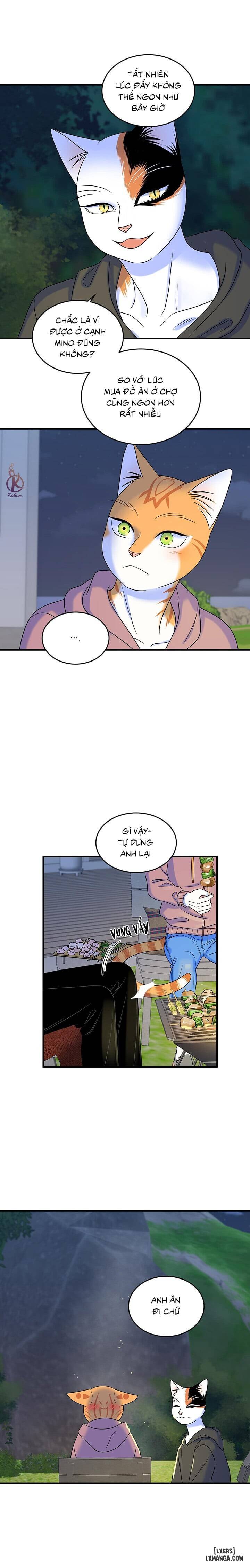 HentaiVN.net - Ảnh 13 - Dự án xanh - Chap 49
