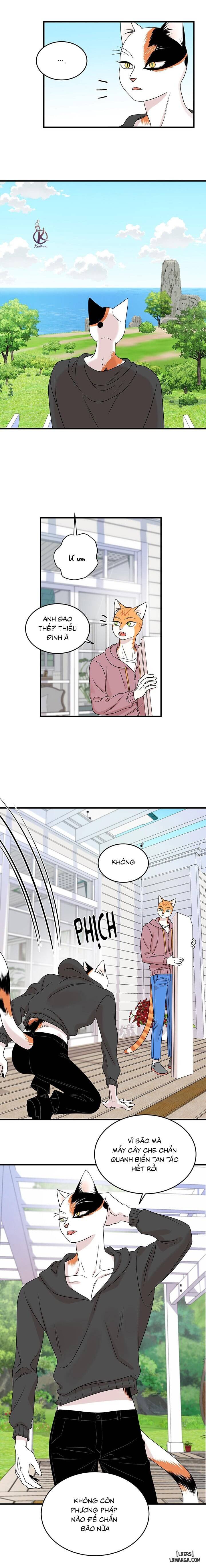 HentaiVN.net - Ảnh 6 - Dự án xanh - Chap 49