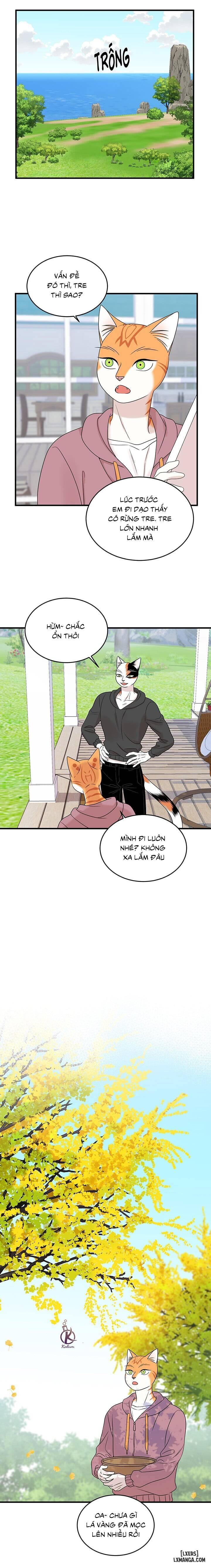 HentaiVN.net - Ảnh 7 - Dự án xanh - Chap 49