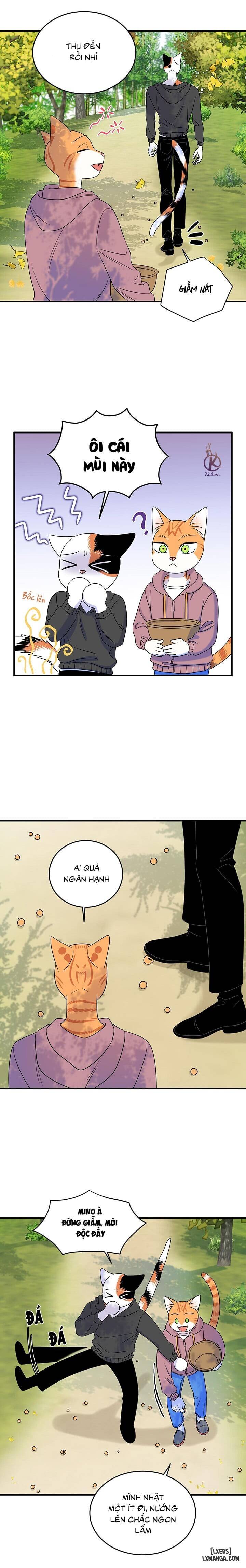 HentaiVN.net - Ảnh 8 - Dự án xanh - Chap 49