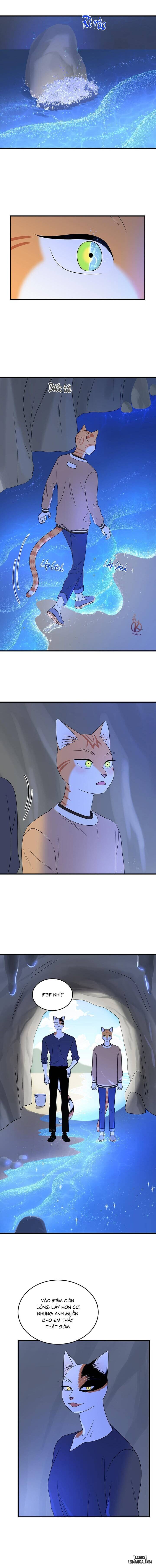 HentaiVN.net - Ảnh 7 - Dự án xanh - Chap 50