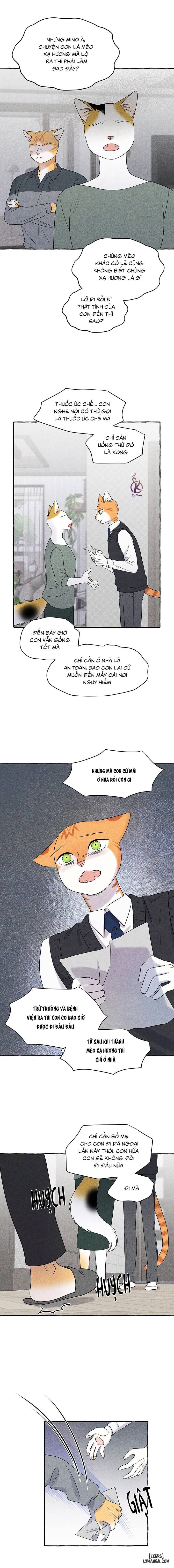 HentaiVN.net - Ảnh 10 - Dự án xanh - Chap 51