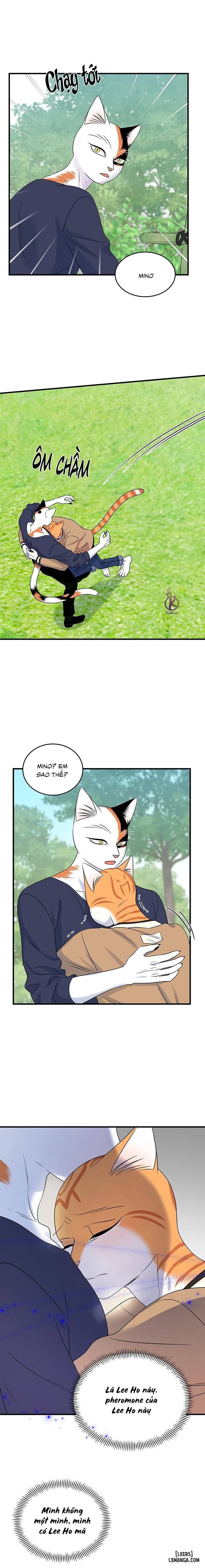 HentaiVN.net - Ảnh 13 - Dự án xanh - Chap 51