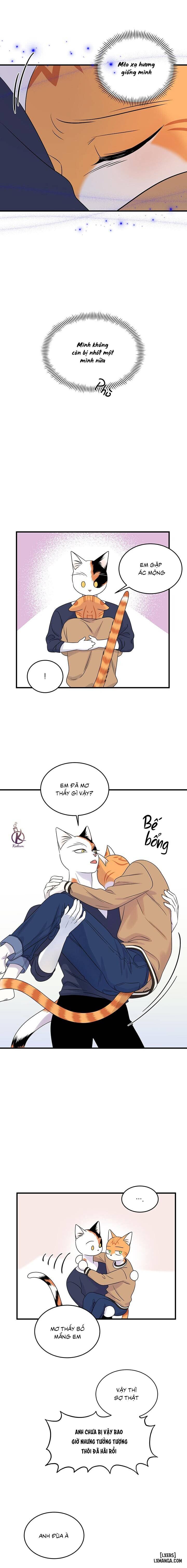 HentaiVN.net - Ảnh 14 - Dự án xanh - Chap 51
