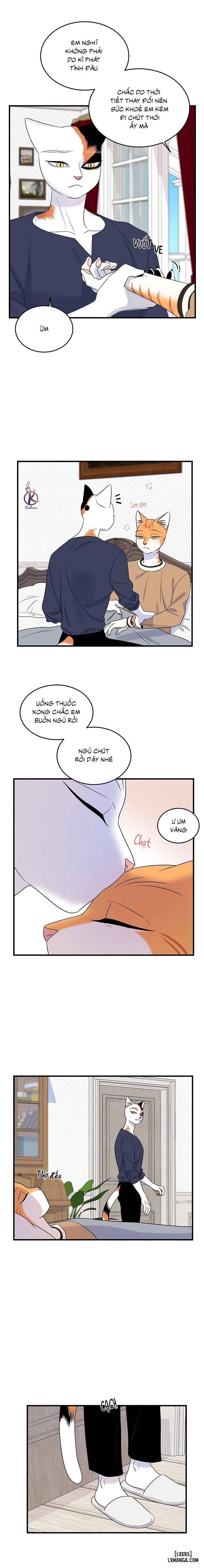 HentaiVN.net - Ảnh 7 - Dự án xanh - Chap 51