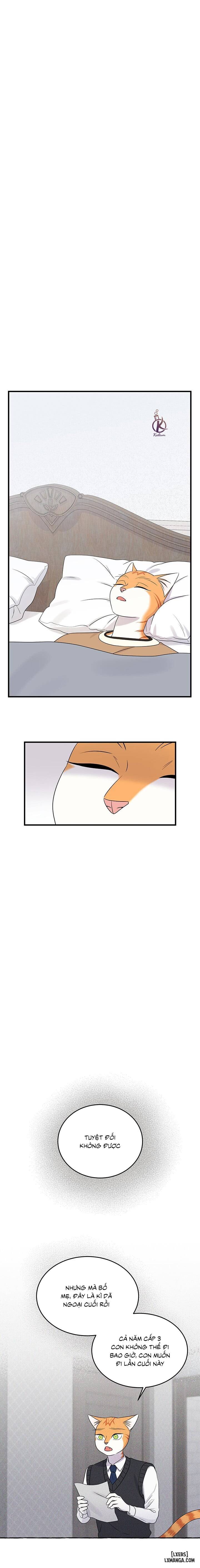 HentaiVN.net - Ảnh 9 - Dự án xanh - Chap 51