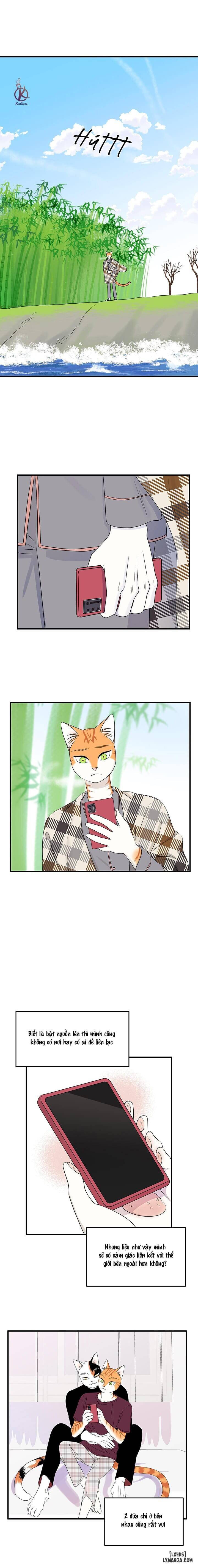 HentaiVN.net - Ảnh 11 - Dự án xanh - Chap 52