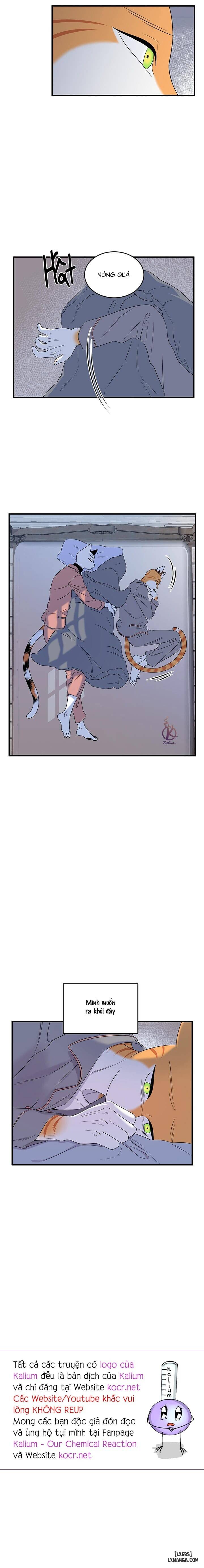 HentaiVN.net - Ảnh 14 - Dự án xanh - Chap 52