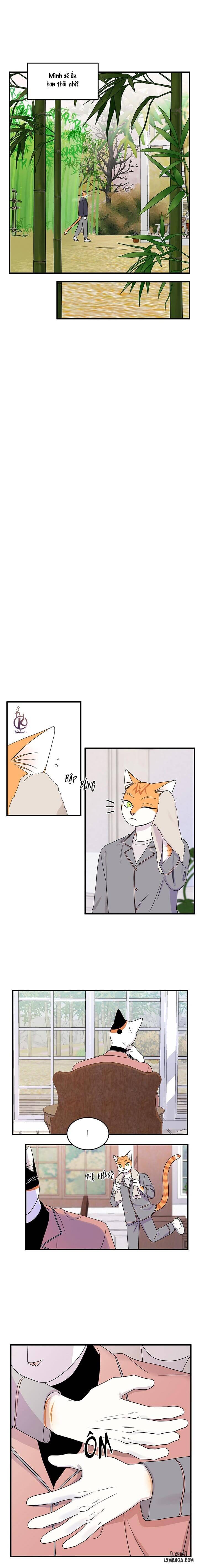 HentaiVN.net - Ảnh 7 - Dự án xanh - Chap 52