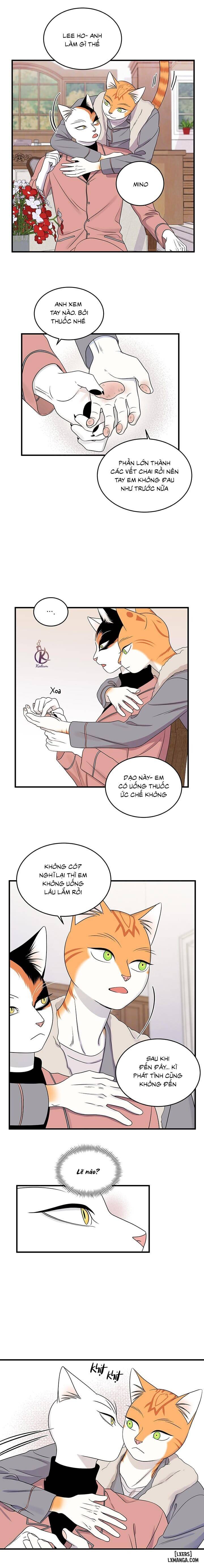 HentaiVN.net - Ảnh 8 - Dự án xanh - Chap 52