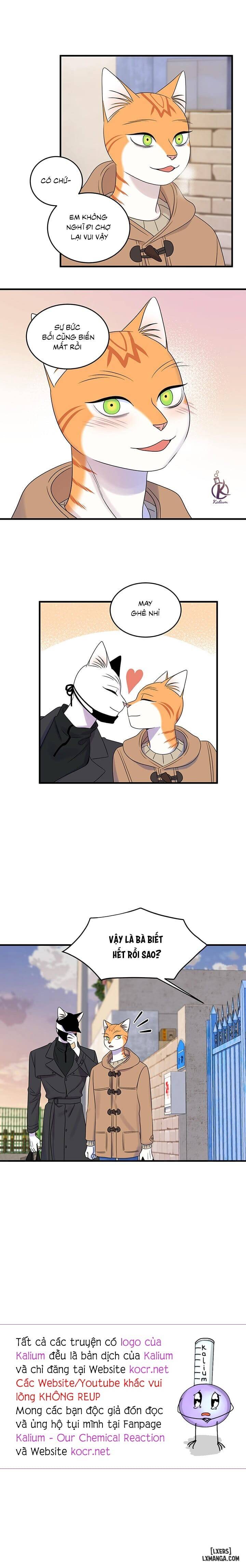 HentaiVN.net - Ảnh 14 - Dự án xanh - Chap 53