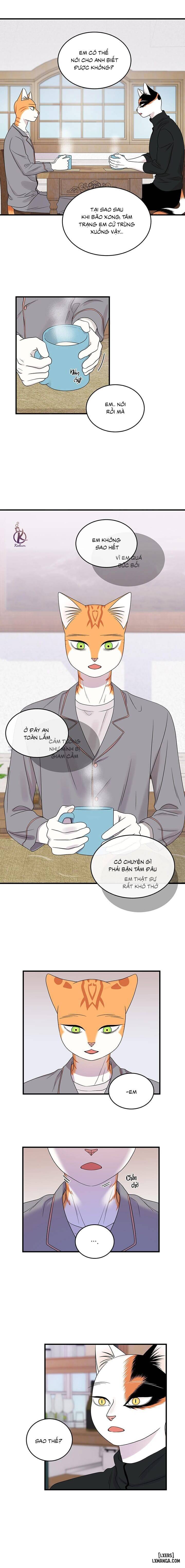 HentaiVN.net - Ảnh 3 - Dự án xanh - Chap 53