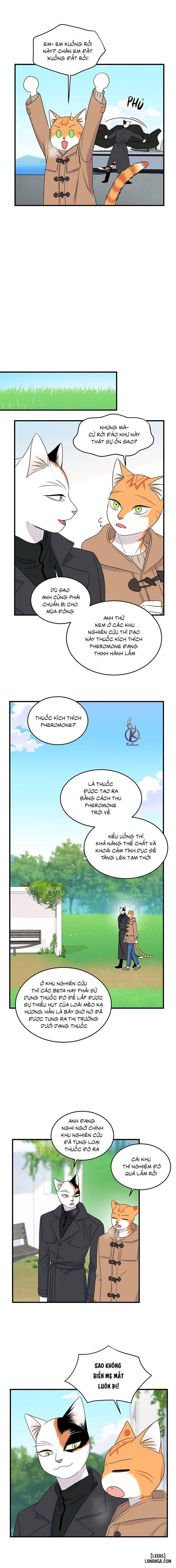HentaiVN.net - Ảnh 7 - Dự án xanh - Chap 53