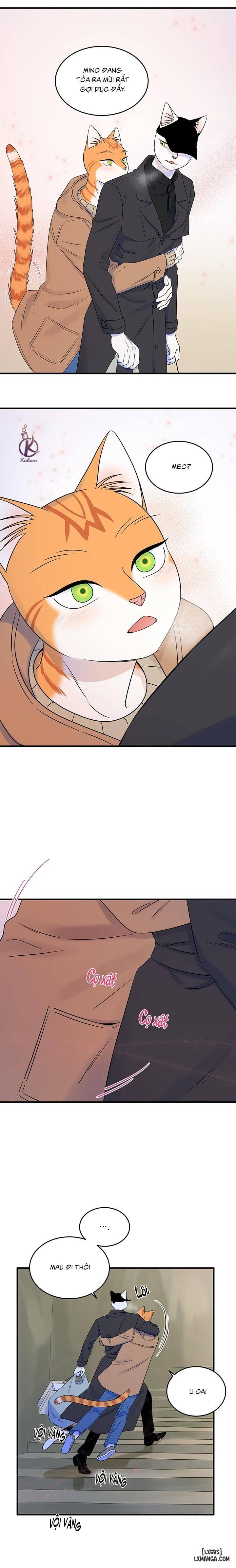 HentaiVN.net - Ảnh 14 - Dự án xanh - Chap 54