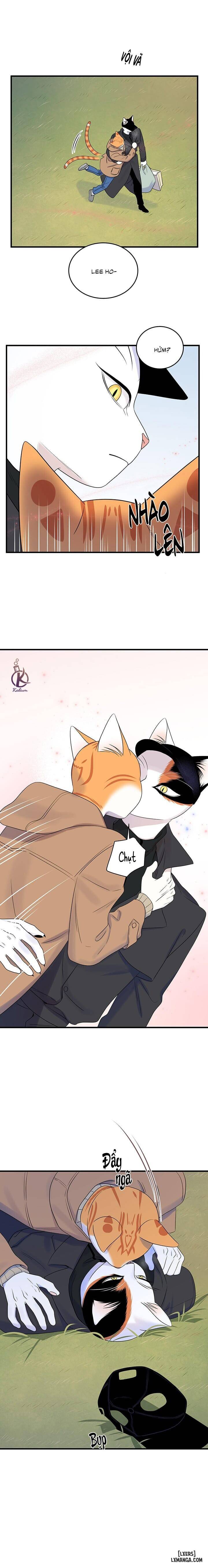 HentaiVN.net - Ảnh 15 - Dự án xanh - Chap 54