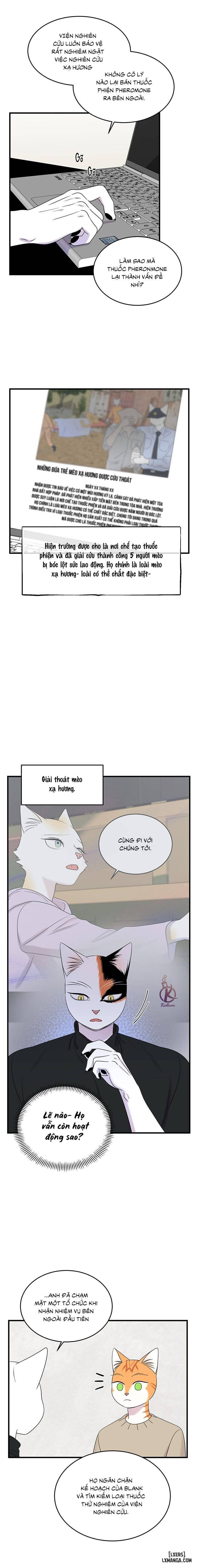 HentaiVN.net - Ảnh 7 - Dự án xanh - Chap 54