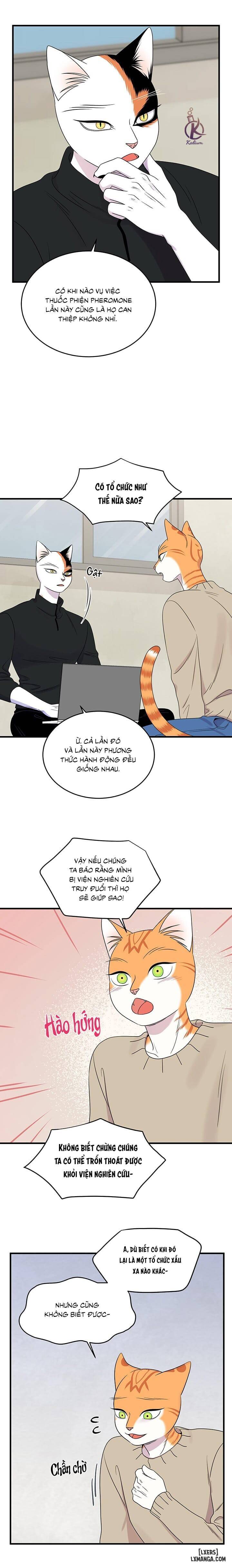 HentaiVN.net - Ảnh 8 - Dự án xanh - Chap 54
