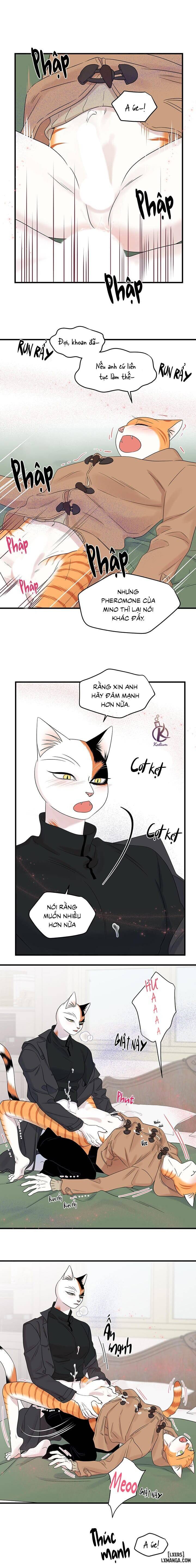 HentaiVN.net - Ảnh 10 - Dự án xanh - Chap 55