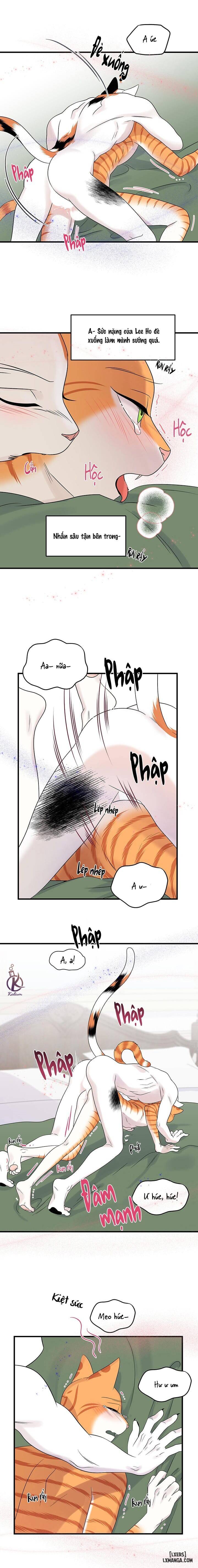 HentaiVN.net - Ảnh 13 - Dự án xanh - Chap 55
