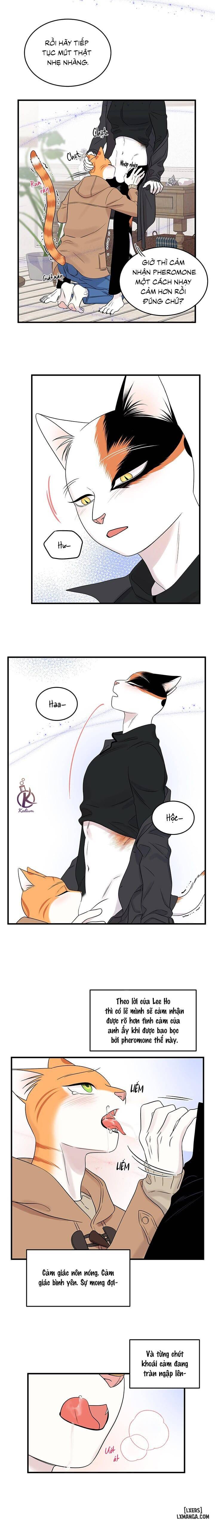 HentaiVN.net - Ảnh 6 - Dự án xanh - Chap 55