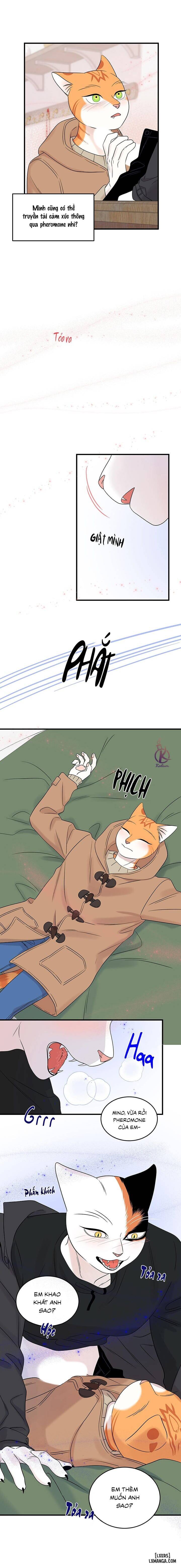 HentaiVN.net - Ảnh 7 - Dự án xanh - Chap 55