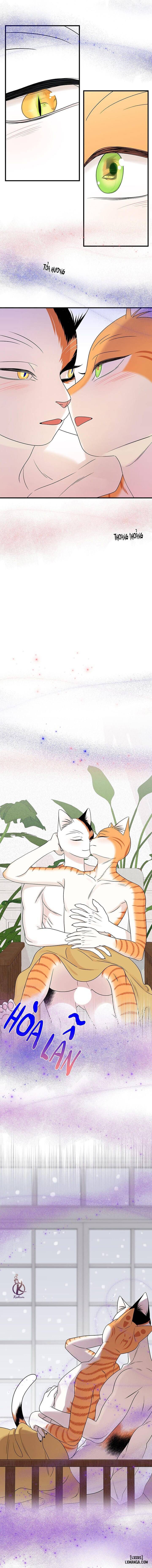 HentaiVN.net - Ảnh 10 - Dự án xanh - Chap 56