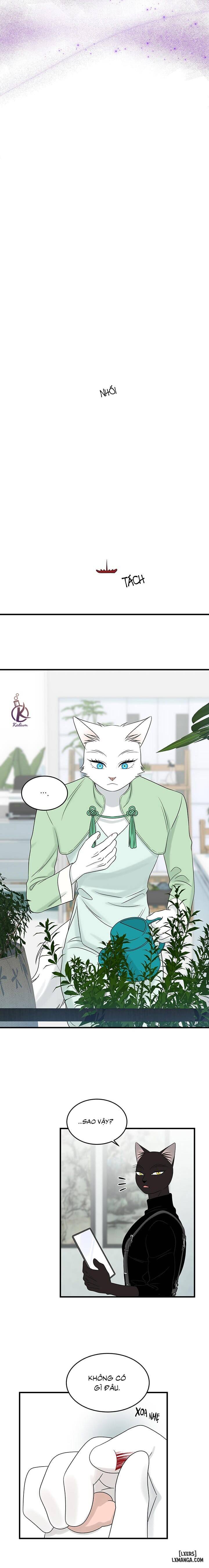 HentaiVN.net - Ảnh 11 - Dự án xanh - Chap 56