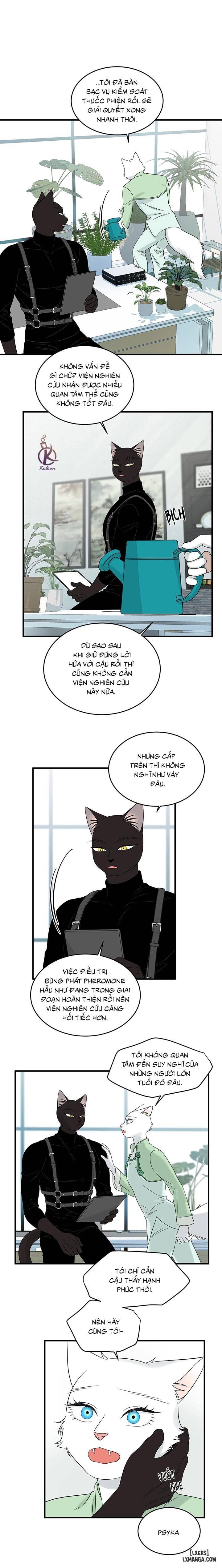 HentaiVN.net - Ảnh 12 - Dự án xanh - Chap 56