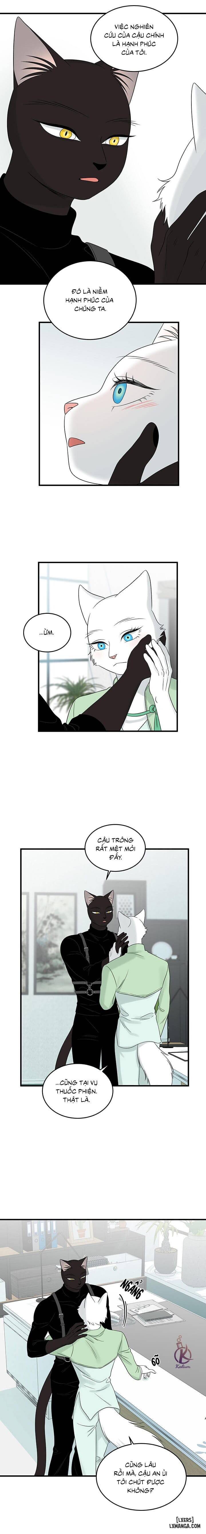 HentaiVN.net - Ảnh 13 - Dự án xanh - Chap 56