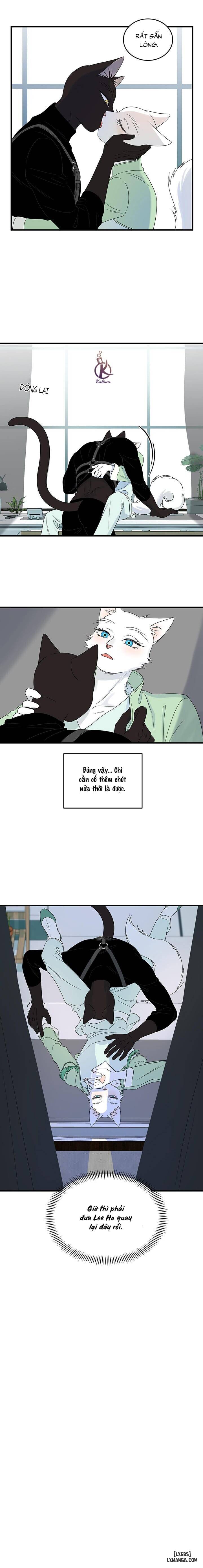 HentaiVN.net - Ảnh 14 - Dự án xanh - Chap 56