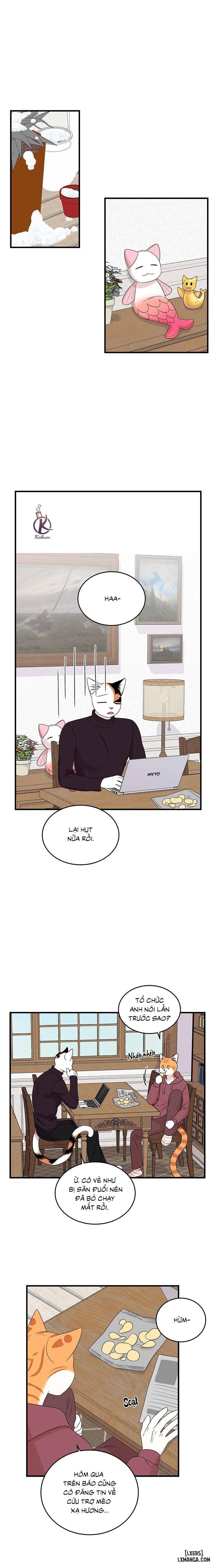 HentaiVN.net - Ảnh 15 - Dự án xanh - Chap 56