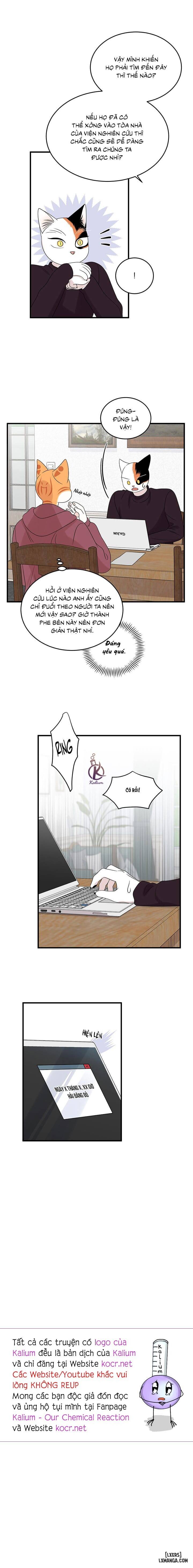 HentaiVN.net - Ảnh 16 - Dự án xanh - Chap 56