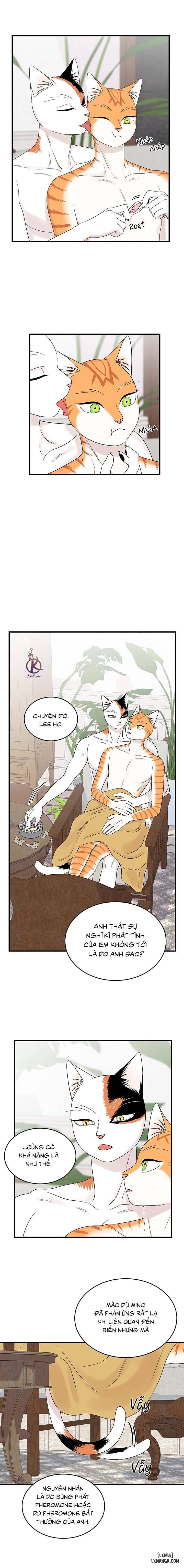 HentaiVN.net - Ảnh 4 - Dự án xanh - Chap 56