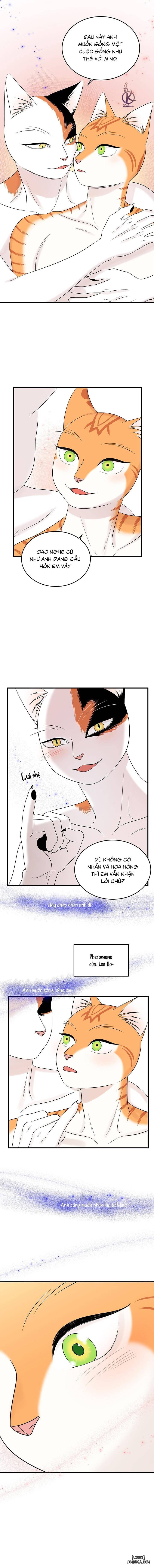 HentaiVN.net - Ảnh 7 - Dự án xanh - Chap 56
