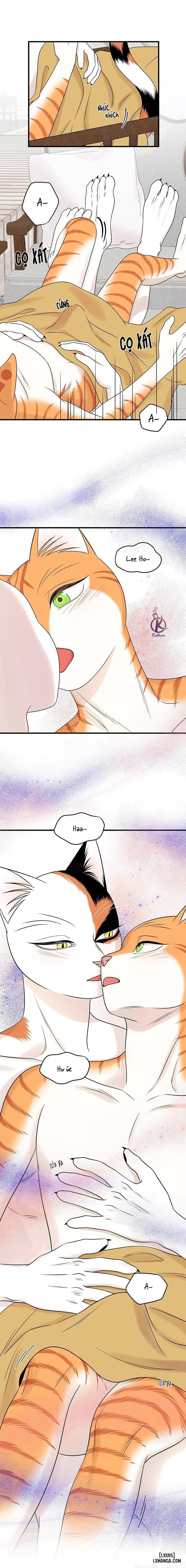 HentaiVN.net - Ảnh 9 - Dự án xanh - Chap 56